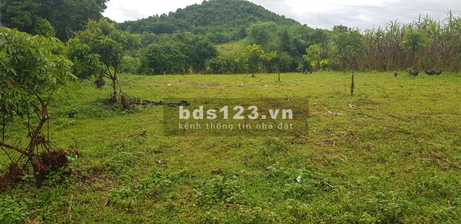 Cần bán lô đất 900m có 200 thổ cư tại Kim Bôi-Hòa Bình liên hệ xem đất 0833066663