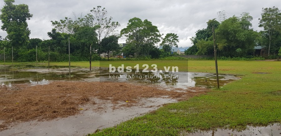 Cần bán lô đất 900m có 200 thổ cư tại Kim Bôi-Hòa Bình liên hệ xem đất 0833066663