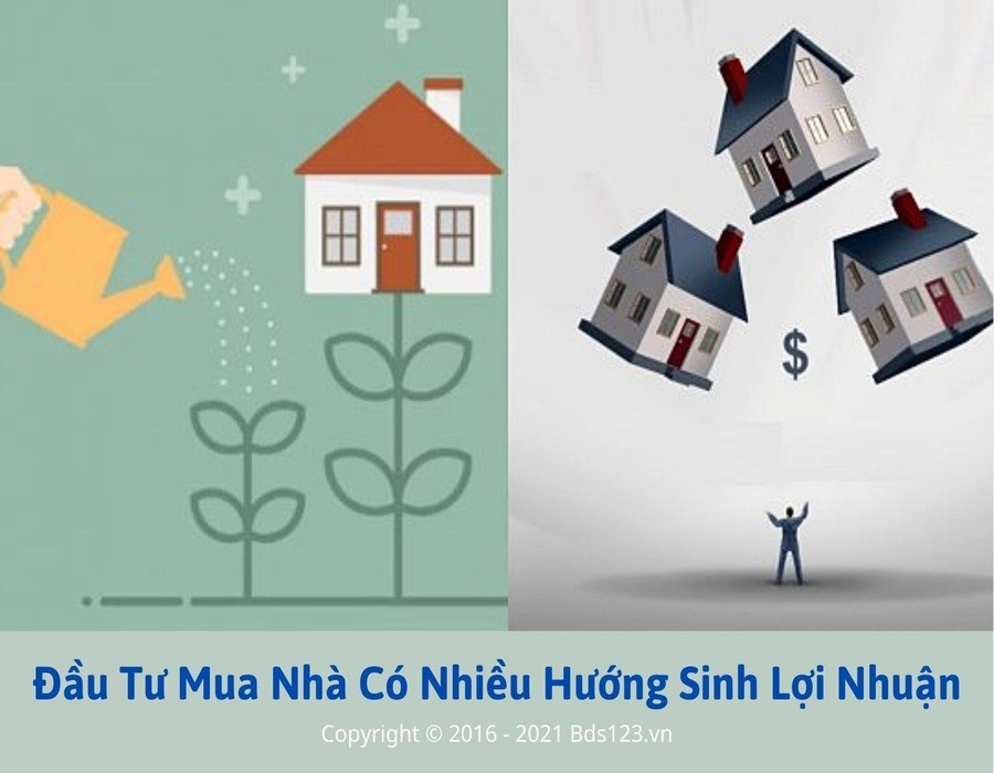 Đầu tư mua nhà có nhiều hướng sinh lợi nhuận