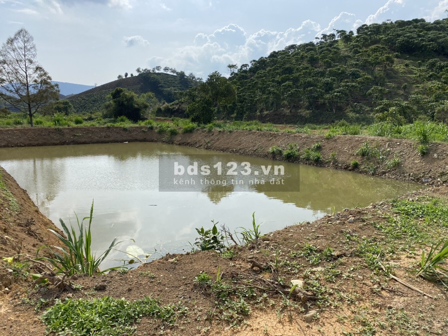Bán lô đất thôn 11 Xã Đại Lào thành phố Bảo Lộc giá rẻ pháp lý đầy đủ, đường xe vào tận đất