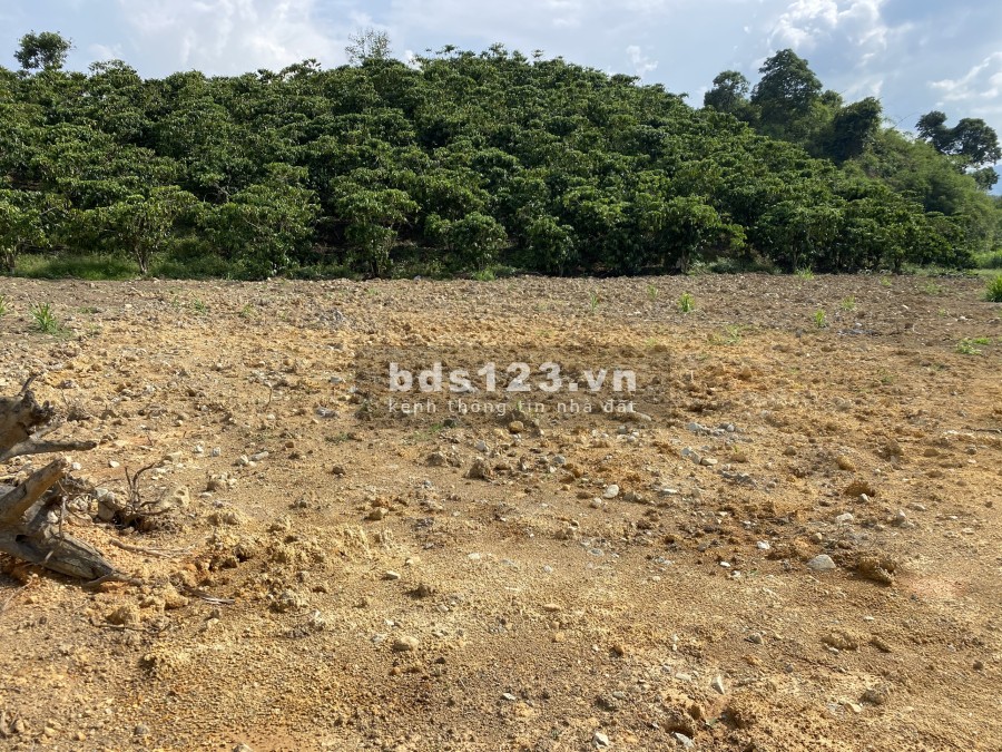 Bán lô đất thôn 11 Xã Đại Lào thành phố Bảo Lộc giá rẻ pháp lý đầy đủ, đường xe vào tận đất