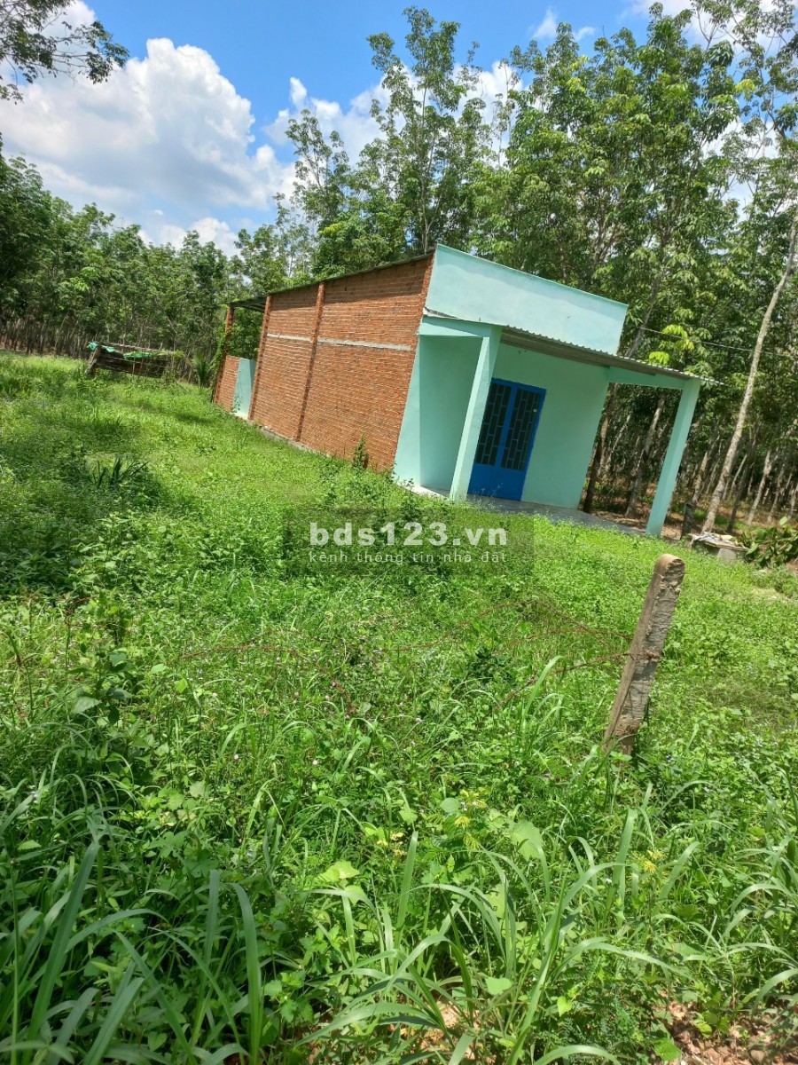 Đất nền Định Hiệp, Dầu Tiếng diện tích sử dụng 888m2, giá bán 1 tỷ 950 liên hệ 0348930028