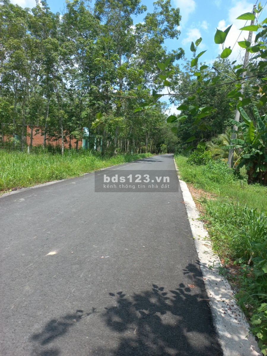 Đất nền Định Hiệp, Dầu Tiếng diện tích sử dụng 888m2, giá bán 1 tỷ 950 liên hệ 0348930028