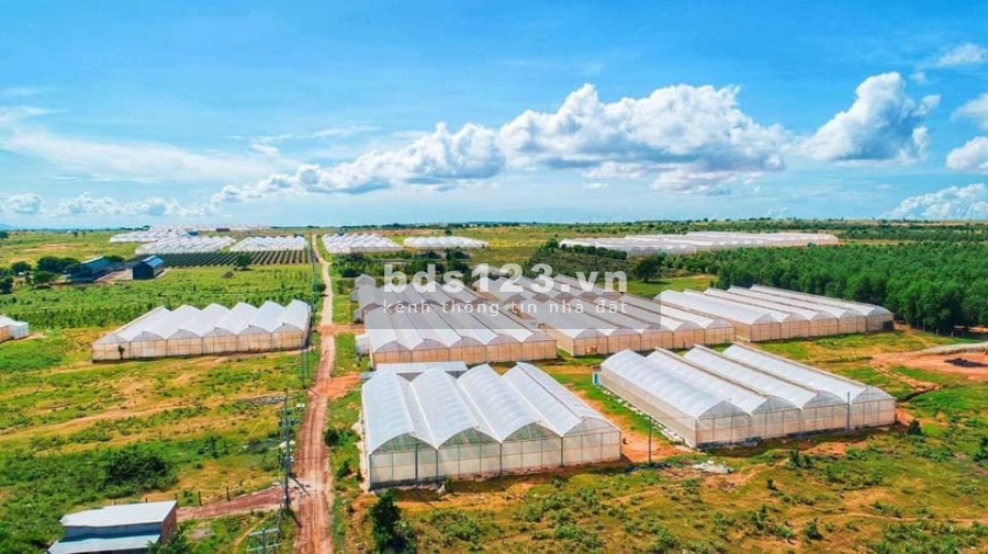 Đất Bình Thuận tiềm năng gần cao tốc và sân bay giá trị gia tăng, pháp lý đầy đủ chính chủ