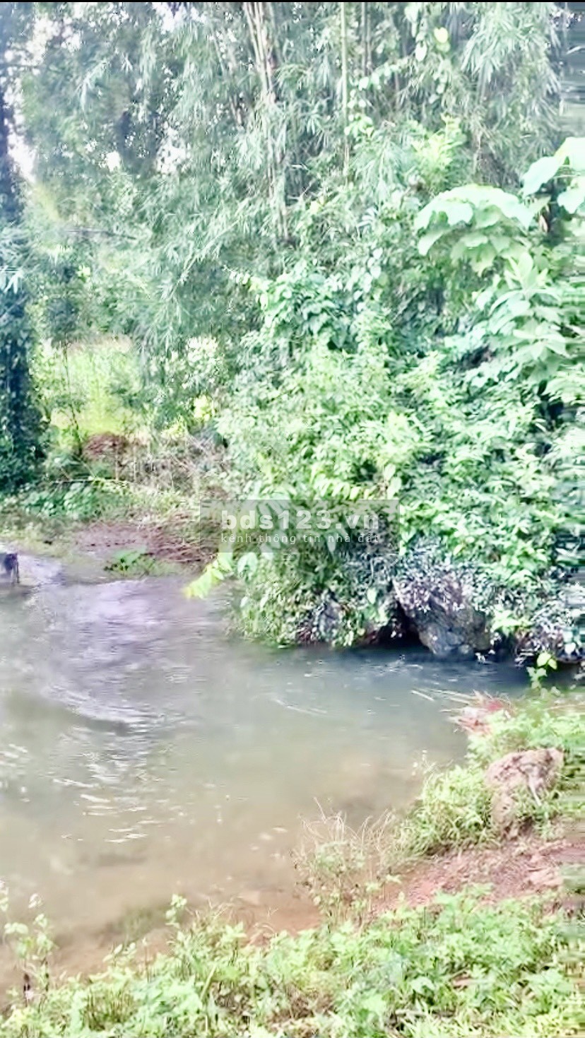 Bán nhanh lô đất sẵn nhà sàn, có suối chạy quanh nhà ở Tân Lạc giá siêu rẻ.