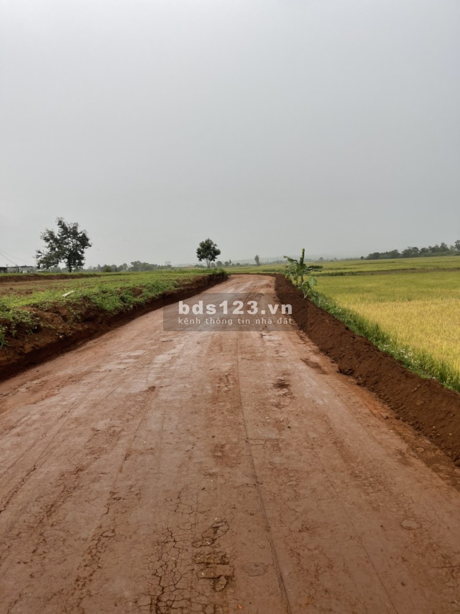 Đầu tư đất giá rẻ, xã Trà Đa, chỉ từ 2xxtr khu dân cư hiện hữu tiện ích đầy đủ, sổ sẵn, lhcc