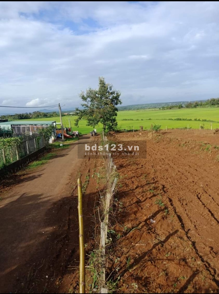 Đầu tư đất giá rẻ, xã Trà Đa, chỉ từ 2xxtr khu dân cư hiện hữu tiện ích đầy đủ, sổ sẵn, lhcc