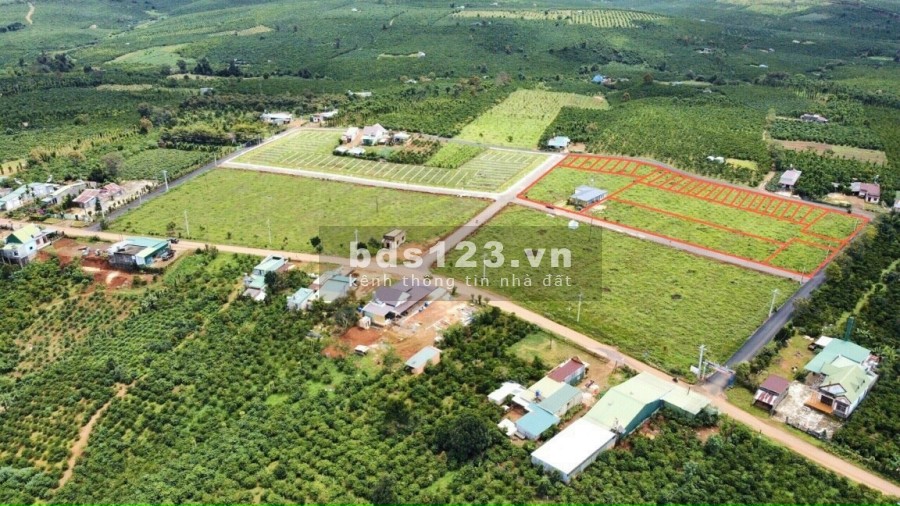 Bảo Lộc là 1 lựa chọn tốt nhất về mua đầu tư và nghỉ dưỡng giá bán chỉ từ 4 triệu/m2, lhcc