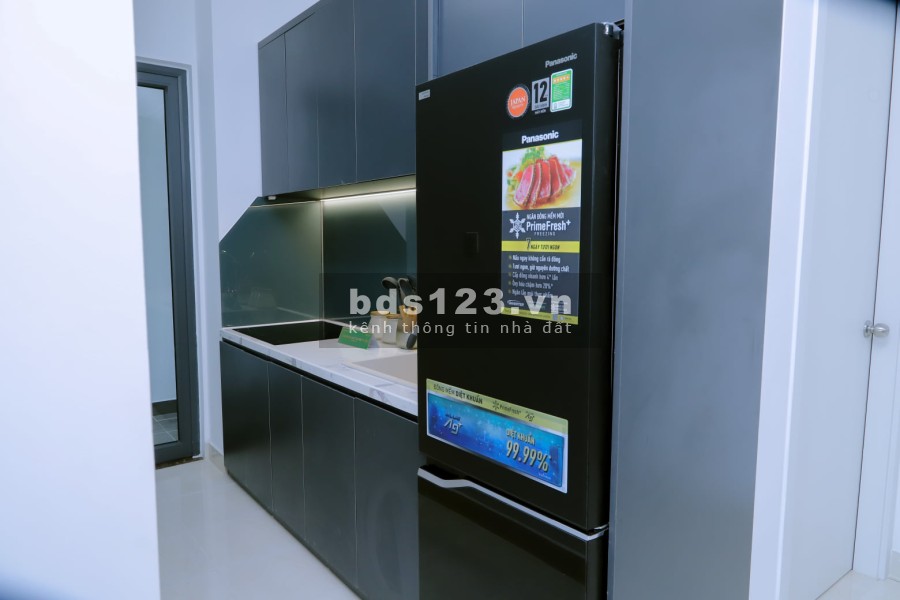 Ecohome Nhơn Bình - Tiện ích Xanh, tiến độ thanh toán linh hoạt lên đến 10 đợt giá tốt