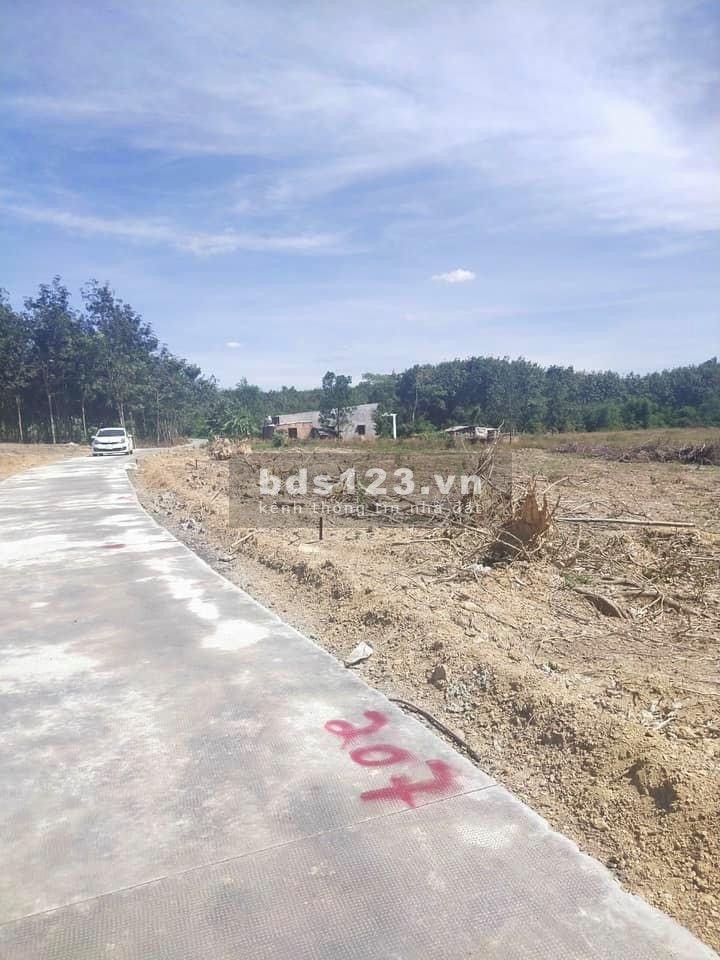 CC cần bán 03 lô đất dt 1000 m2/ lô, sổ hồng riêng từng lô, gần khu công nghiệp Becamex