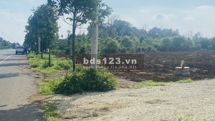 Khu dân cư Phú Mỹ Avenue đất mặt tiền trên Đại Lộ Võ Văn Kiệt lộ giới lên đến 40m