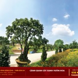 Bán đất Nghĩa Trang công viên Thiên Bình An liên hệ 0384453807,…