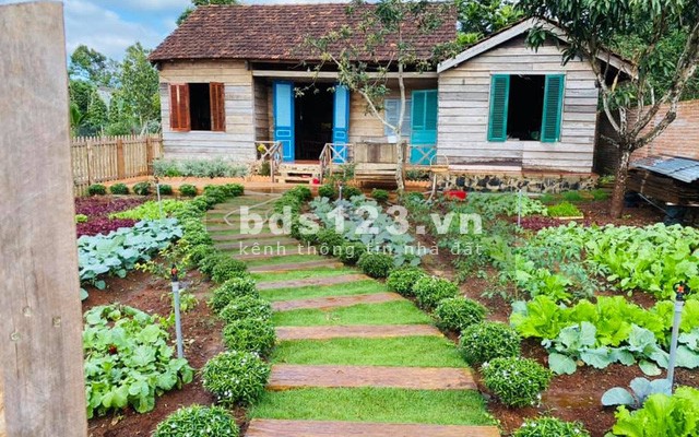 Cần bán lô đất Phường Bảo An, thành phố Phan Rang – Tháp Chàm, tỉnh Ninh Thuận. (CHÍNH CHỦ)