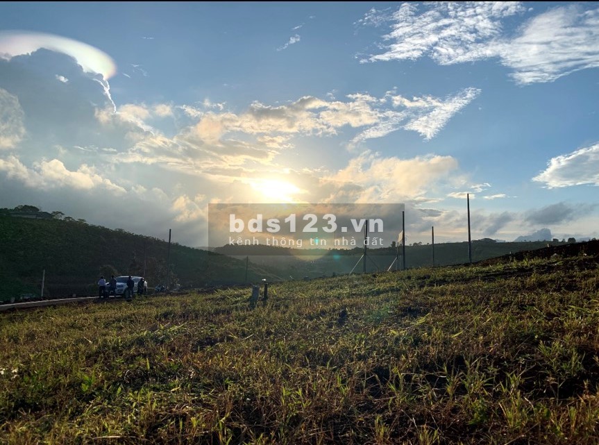 Bán đất nền khu nghĩ dưỡng phố Hoa Hillside Bảo Lộc liên hệ 0339007005 giá tốt