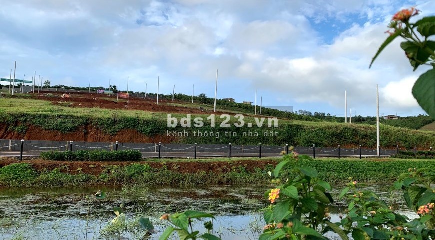 Bán đất nền khu nghĩ dưỡng phố Hoa Hillside Bảo Lộc liên hệ 0339007005 giá tốt