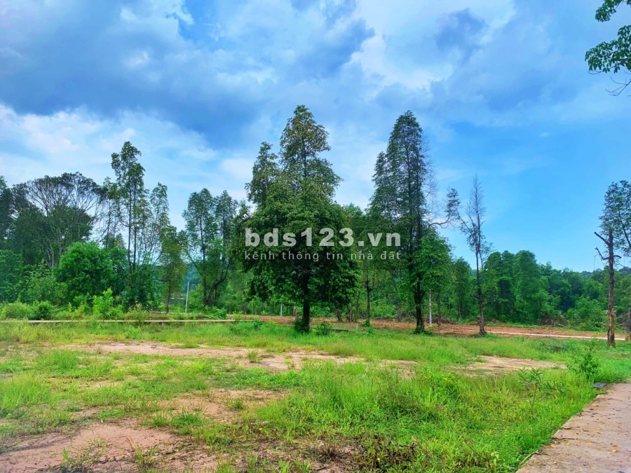 Bán lô đất đầu tư sinh lời cao, hạ tầng hoàn thiện, khu dân trí cao hàng xóm đông đúc, tiện tích đủ