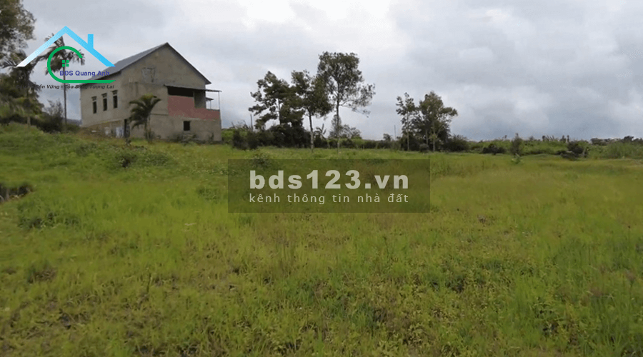 Đất Đinh Công Tráng Bảo Lộc diện tích 9.000m² thích hợp phân lô diện tích có 400m² thổ cư