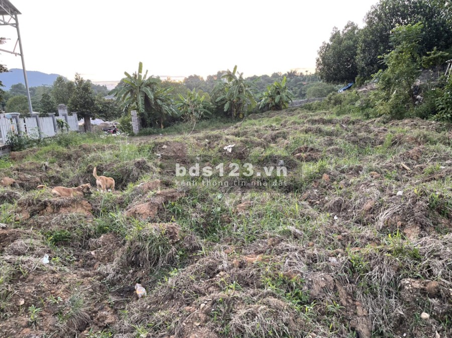 Mảnh đất đẹp Tản Linh Ba Sì diện tích 4 xào mặt tiền ô tô tránh nhau giá bán 2.7 tỷ, thương lượng