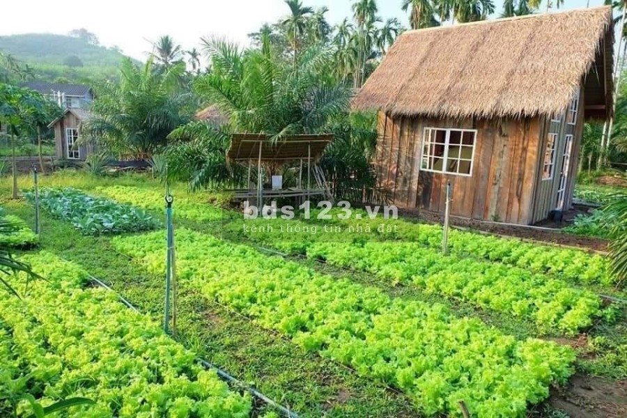 Sổ hồng riêng từng nền - Công chứng ngay chỉ có tại Panamera khu dân cư hiện hữu