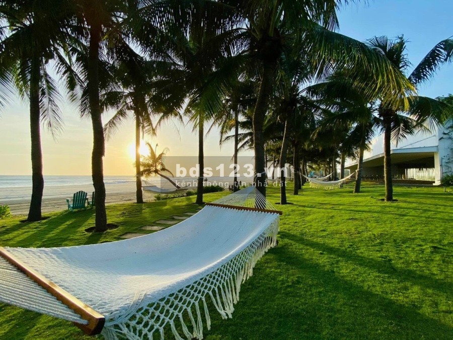 Thanh Long Bay con rồng bay giữa trời biển Nam biển Thanh Long sau dịch pháp lý đầy đủ
