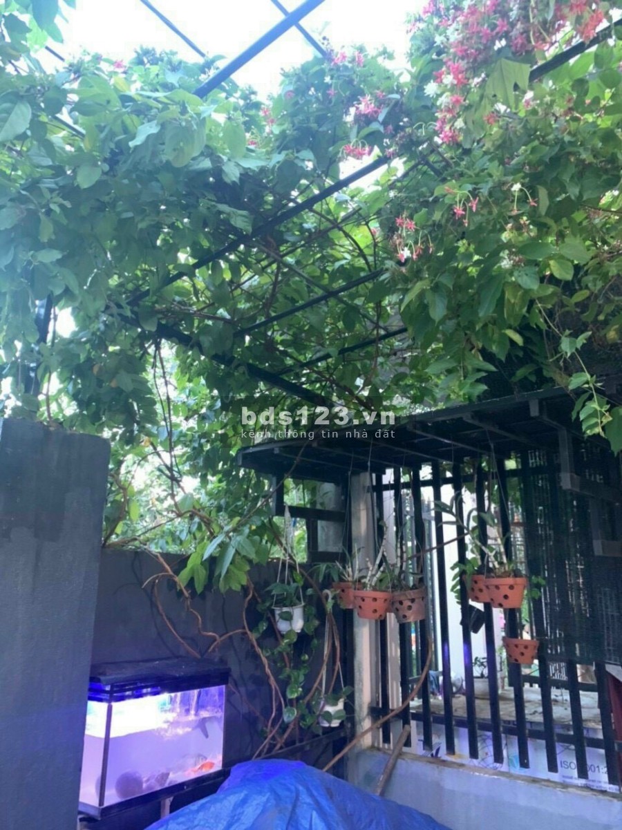 Nhà sổ riêng khu phố 4 Trảng Dài diện tích sử dụng 5x15m giá bán chỉ 1.35 tỷ, sổ sẵn chính chủ