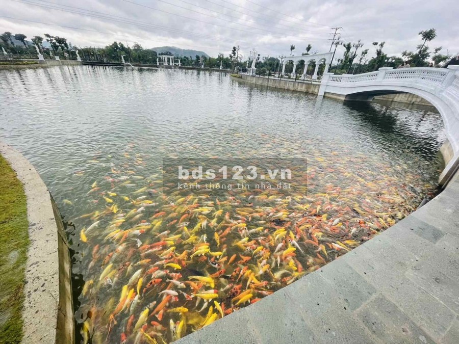 Bán nhanh 2 lô View hồ tại dự án Danko City Thái Nguyên đường lớn, liên hệ 0966756893