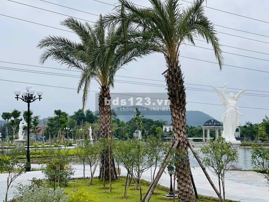 Bán nhanh 2 lô View hồ tại dự án Danko City Thái Nguyên đường lớn, liên hệ 0966756893