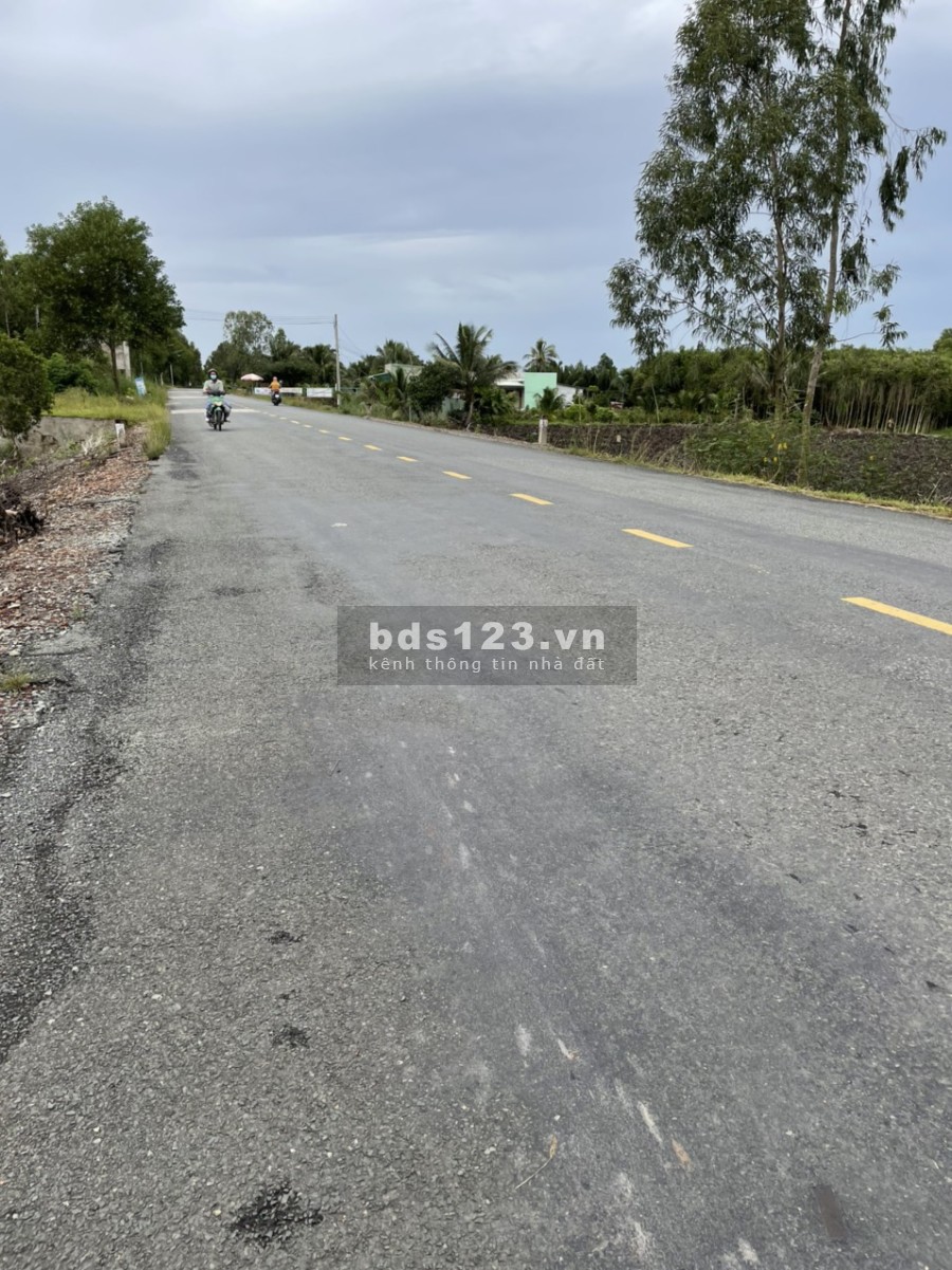 Đất lúa chuyển thổ khu vực Phước Tuy liên hệ 0392308322, giá tốt, diện tích 3000m2 (40x75)