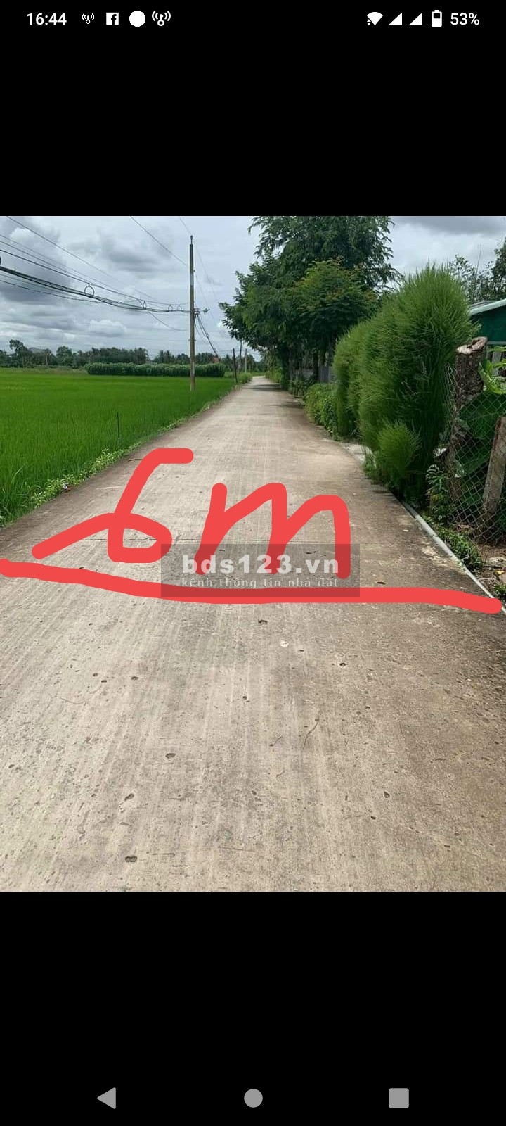 Đất lúa chuyển thổ khu vực Phước Tuy liên hệ 0392308322, giá tốt, diện tích 3000m2 (40x75)