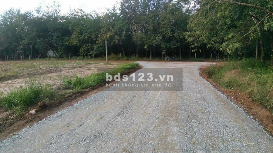 Bán đất nền xã Minh Long Thủ Thuộc thị xã Chơn Thành, Bình Phước, liên hệ 0345830299
