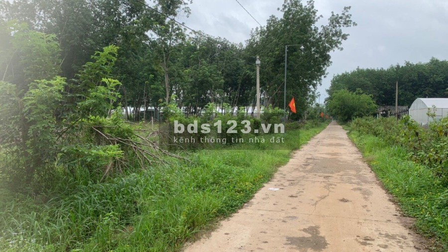 Hot Hot Hot Bán đất nền 5x42 tại KDC Tân Quan ngay trung tâm Hớn Quản - Bình Phước