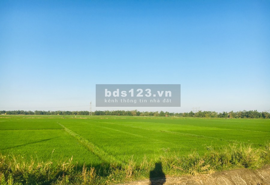 6 lô liền kè view cánh đồng bao đẹp giá siêu hời chỉ từ 400 triệu, đường 4m sát trục chính