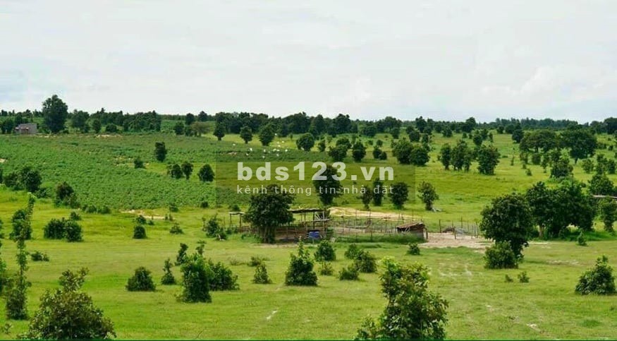 Đất biển Bình Thuận giá rẻ, mặt tiền đường ngay thị trấn Chợ Lầu liên hệ 0909399842