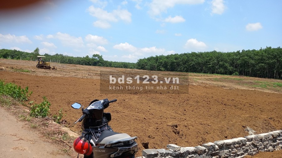 Cần bán 1 sào đất huyện Trảng Bom giá 1ty 500tr... 37 mét mặt nhựa đầu tư sinh lời cao
