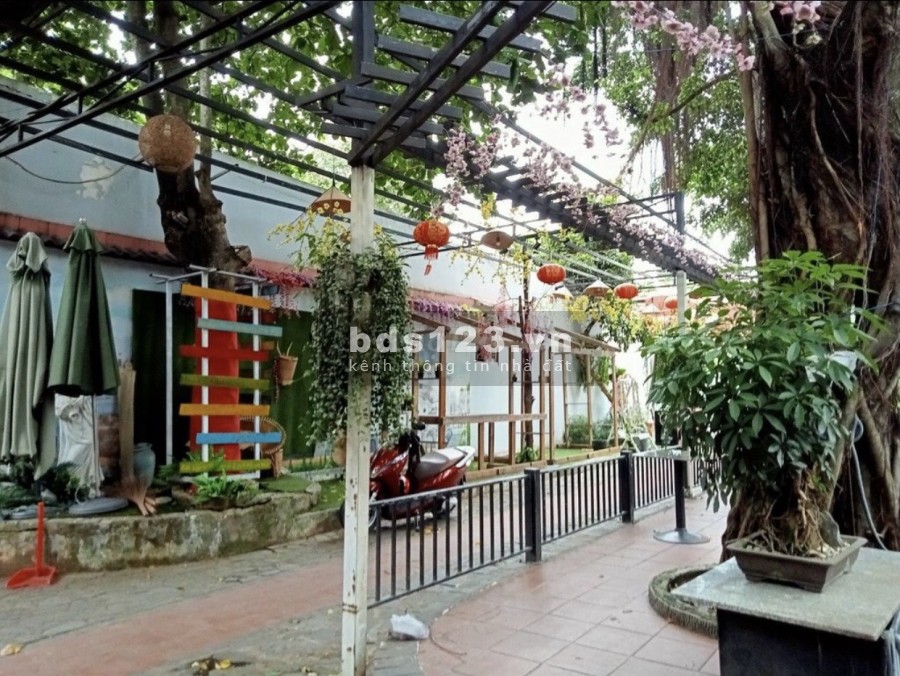 Sang gấp quán Cafe Sân Vườn 1600m2 tại Nguyễn Thị Búp P Hiệp Thành Q12