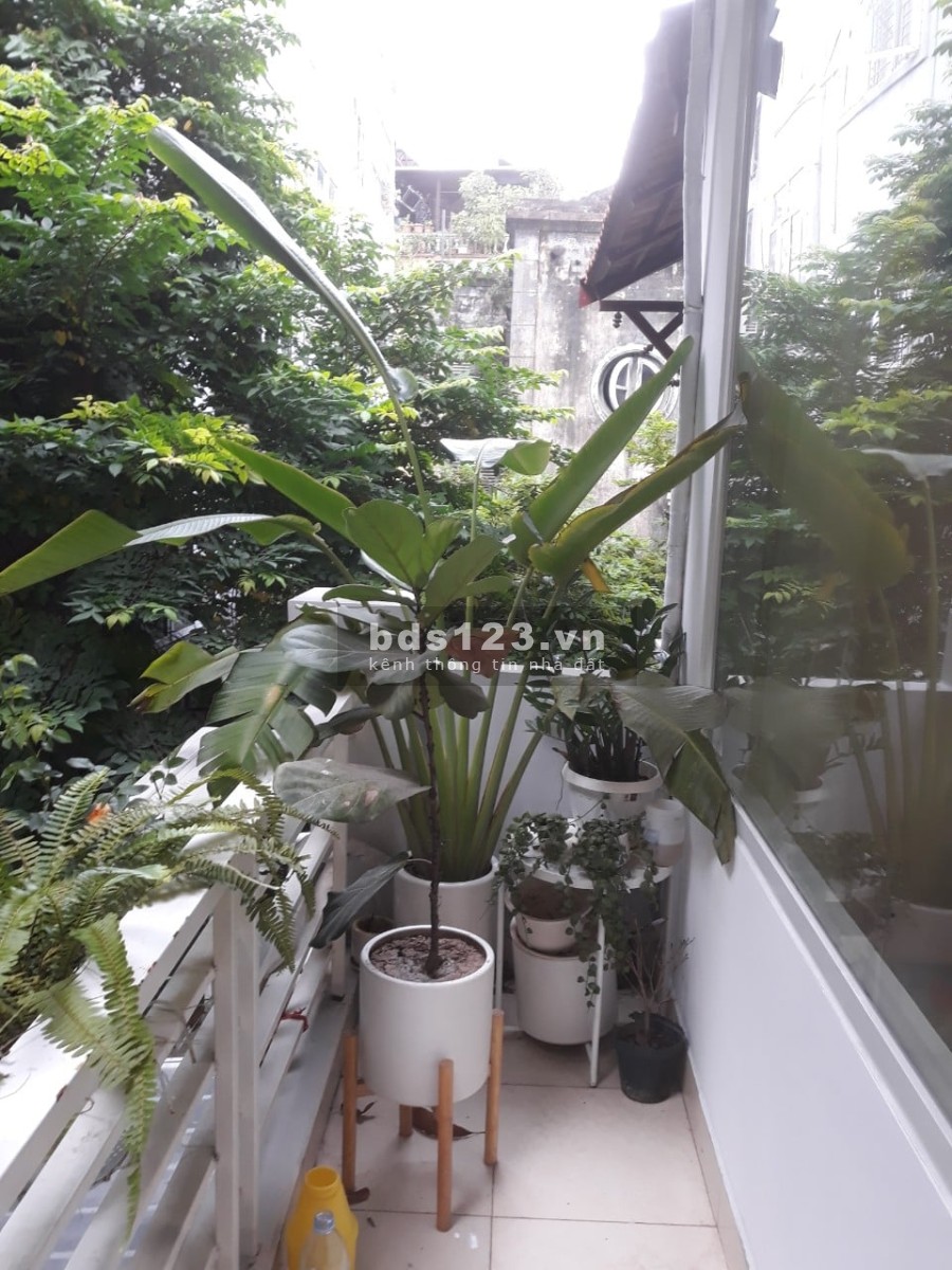 Siêu phẩm Hoàng Hoa Thám 39m2 4,65 tỷ