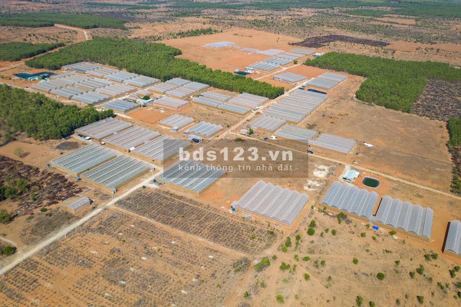 Đất trang trại vị trí đẹp, giá rẻ 16 triệu/m2 pháp lí rõ ràng, bàn giao đủ giấy tờ, khu dân cư