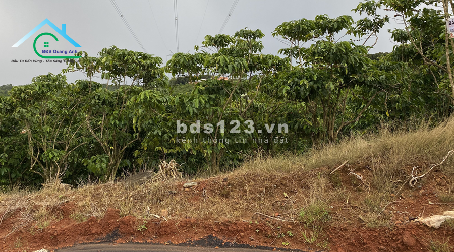 Đất đường Phan Đình Phùng Bảo Lộc 22.800m² khoảng 150m mặt đường giá 1 tỷ 3/ 1 sào