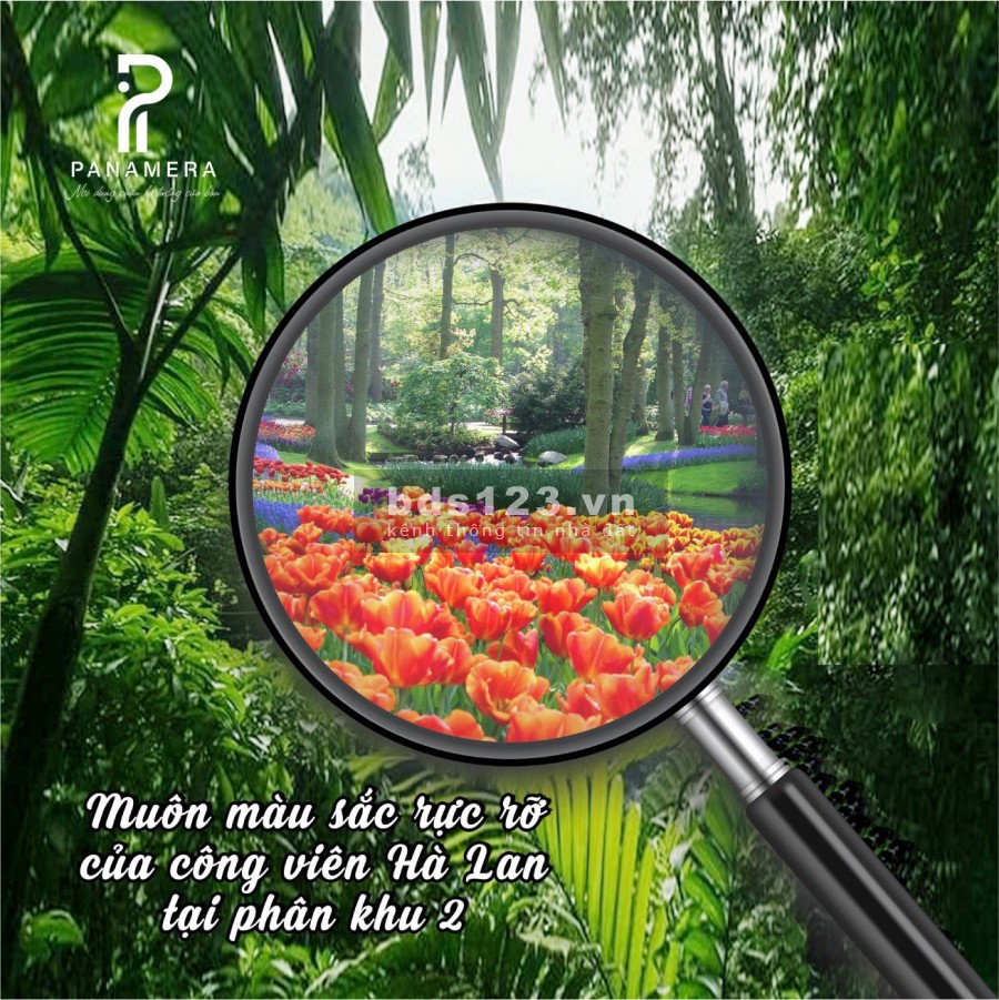 PANAMERA đất nền Bảo Lộc sổ hồng từng lô full thổ cư chỉ từ 999tr (150m2 - 300m2)