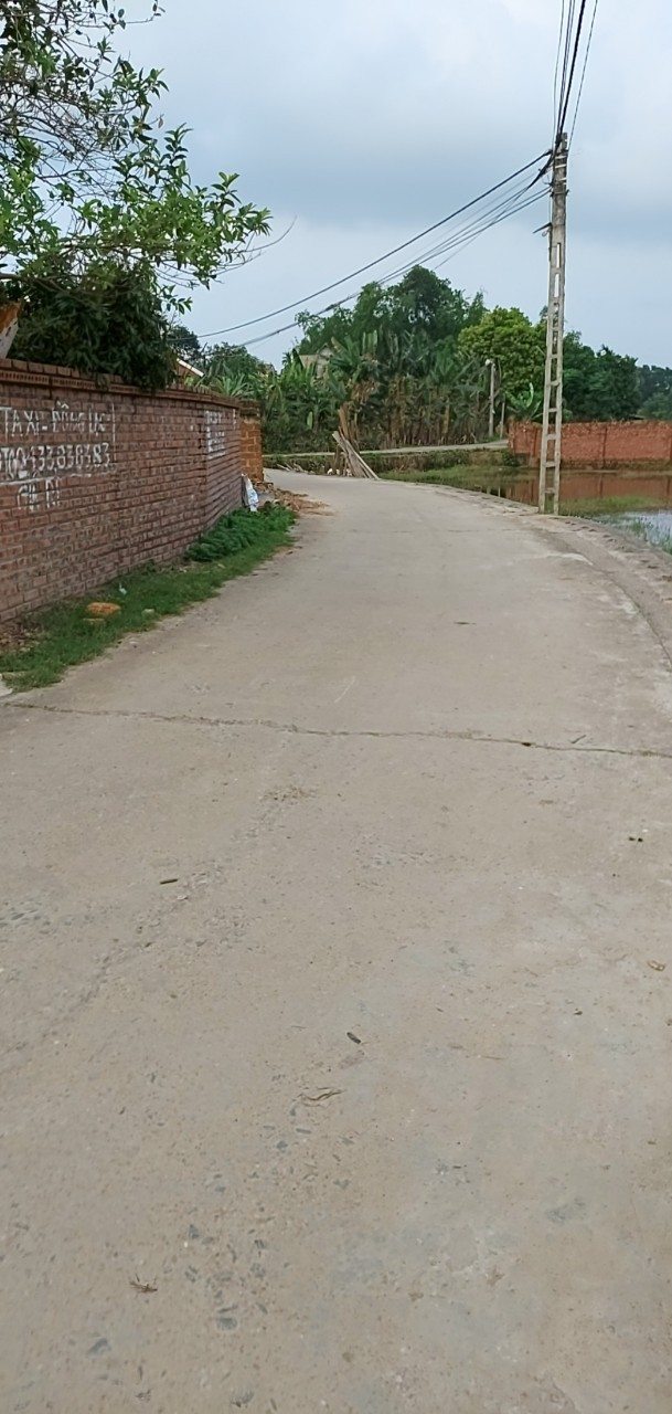Chính chủ nhờ bán lô diện tích sử dụng 103m2 Thôn Tân Xã Thạch Thất vị trí đắc địa