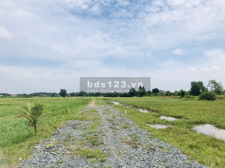 Đất Phước Hiệp, huyện Củ Chi, diện tích sử dụng 600m2, sổ hồng riêng công chứng ngay