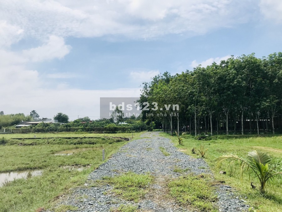 Đất Phước Hiệp, huyện Củ Chi, diện tích sử dụng 600m2, sổ hồng riêng công chứng ngay