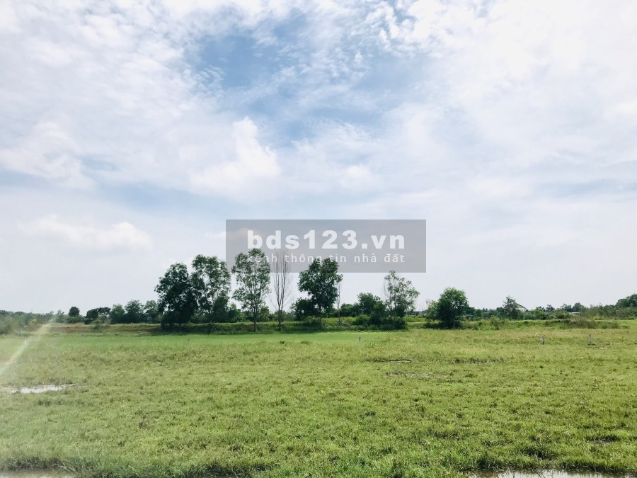 Đất Phước Hiệp, huyện Củ Chi, diện tích sử dụng 600m2, sổ hồng riêng công chứng ngay