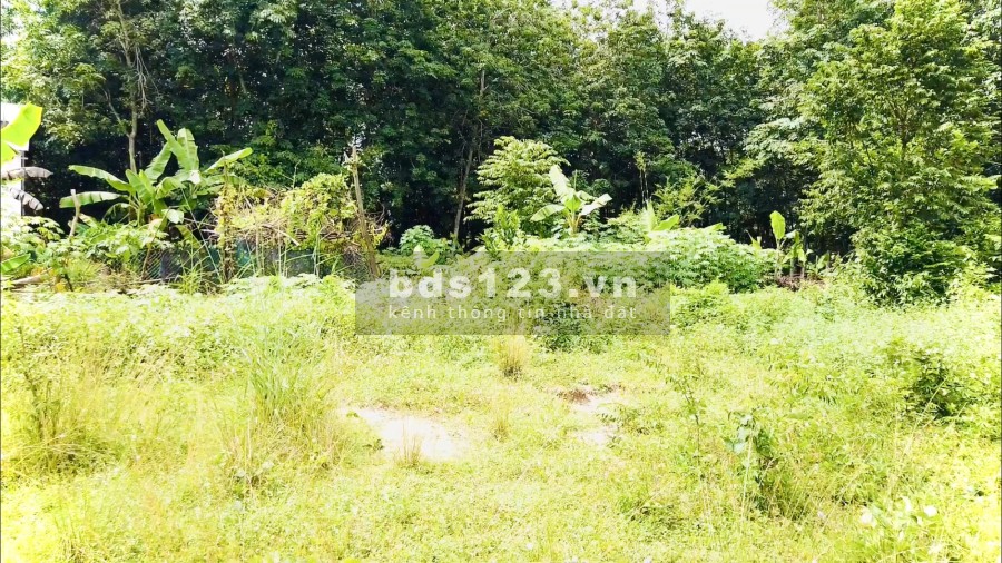 Tôi Bán Đất Tại Xã An Nhơn Tây Củ Chi với 1300m2 đã có sổ hồng riêng giá tôi bán 1 triệum2