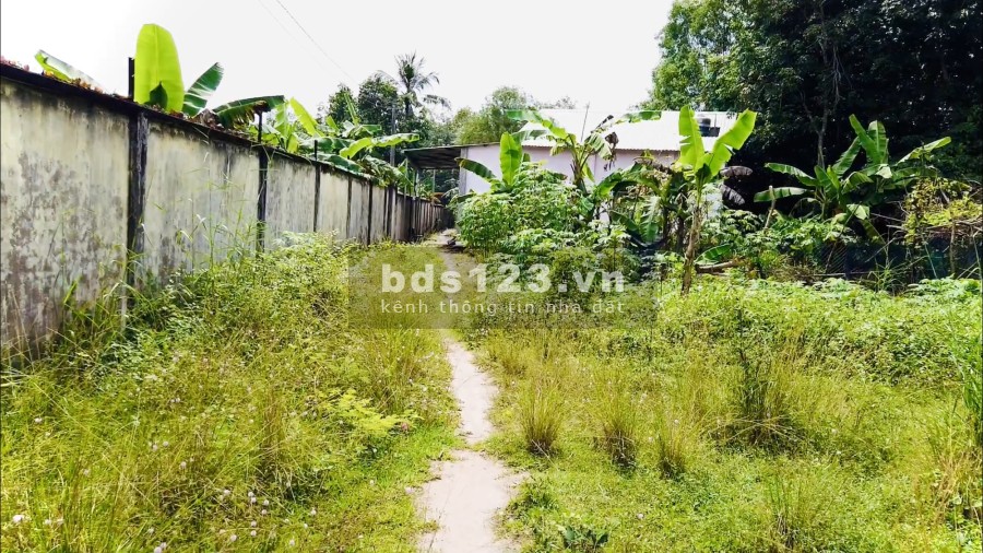Tôi Bán Đất Tại Xã An Nhơn Tây Củ Chi với 1300m2 đã có sổ hồng riêng giá tôi bán 1 triệum2