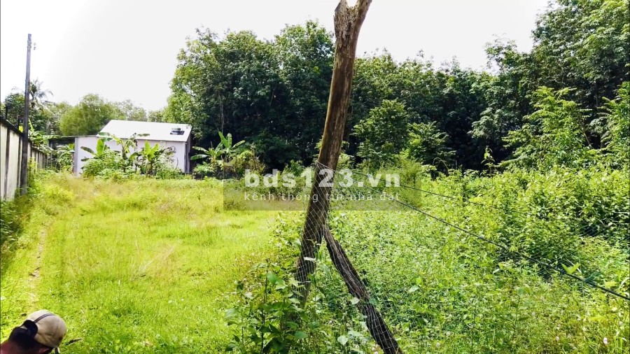 Tôi Bán Đất Tại Xã An Nhơn Tây Củ Chi với 1300m2 đã có sổ hồng riêng giá tôi bán 1 triệum2