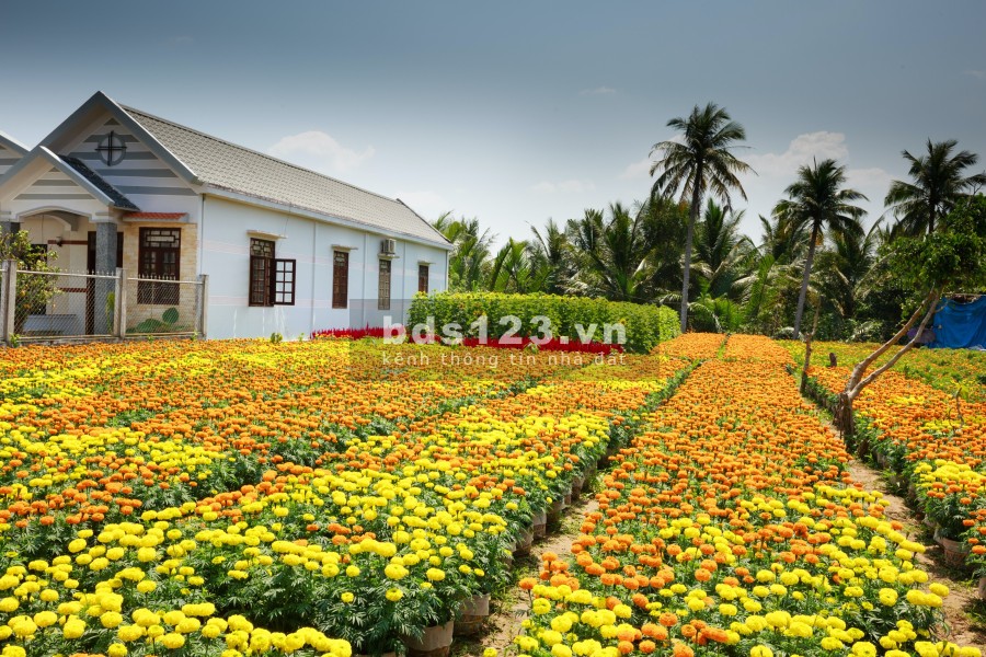 Đất nền Bảo Lam sổ hồng từng lô full thổ cư chỉ từ 999tr( 150m2 - 300m2) lh 0329999334