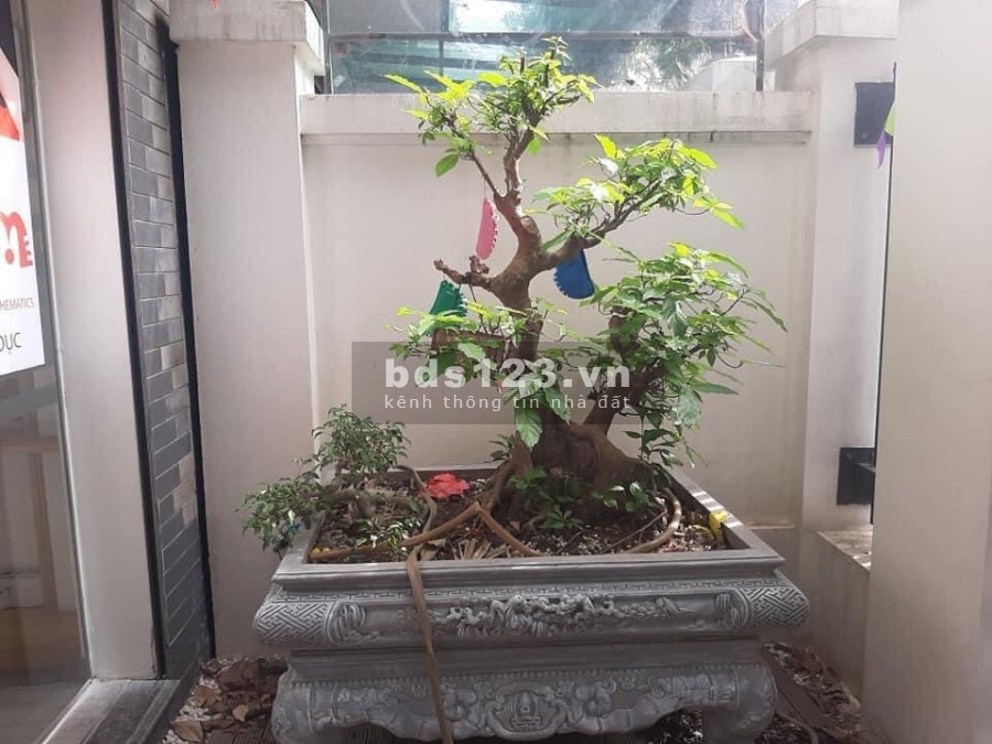 Biệt thự Eden Rose (Biệt thự Hoa Hồng) dtsd 99m2, 4 tầng mặt tiền 6m, giá bán chỉ 13.5 tỷ
