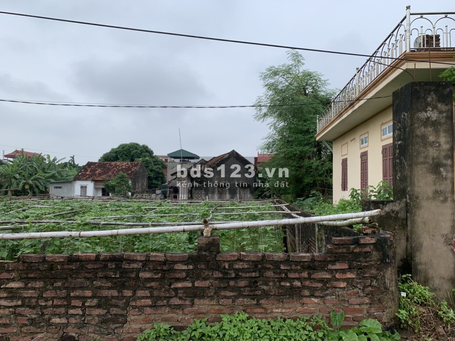 Siêu phẩm 282m2 đất Tự Nhiên Thường Tín, đường 6m cách đường nhựa 20m gần UBND