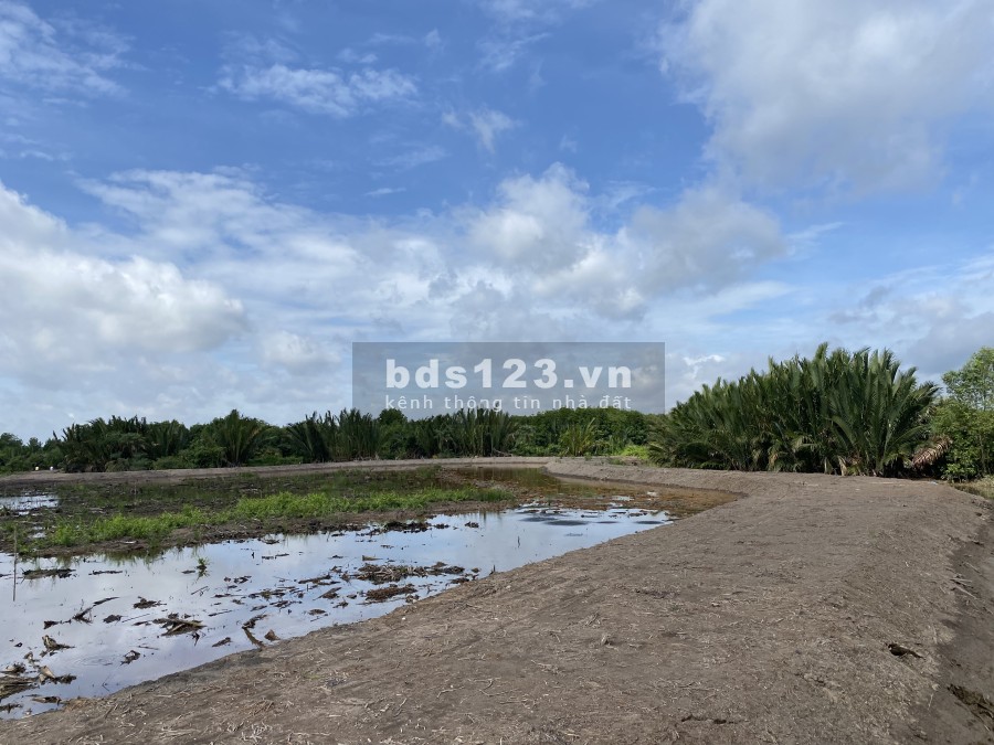 Đất nông nghiệp giá rẻ Vĩnh Thanh chỉ 1tr1/m2, pháp lý đầy đủ, đường xe hơi tới đất